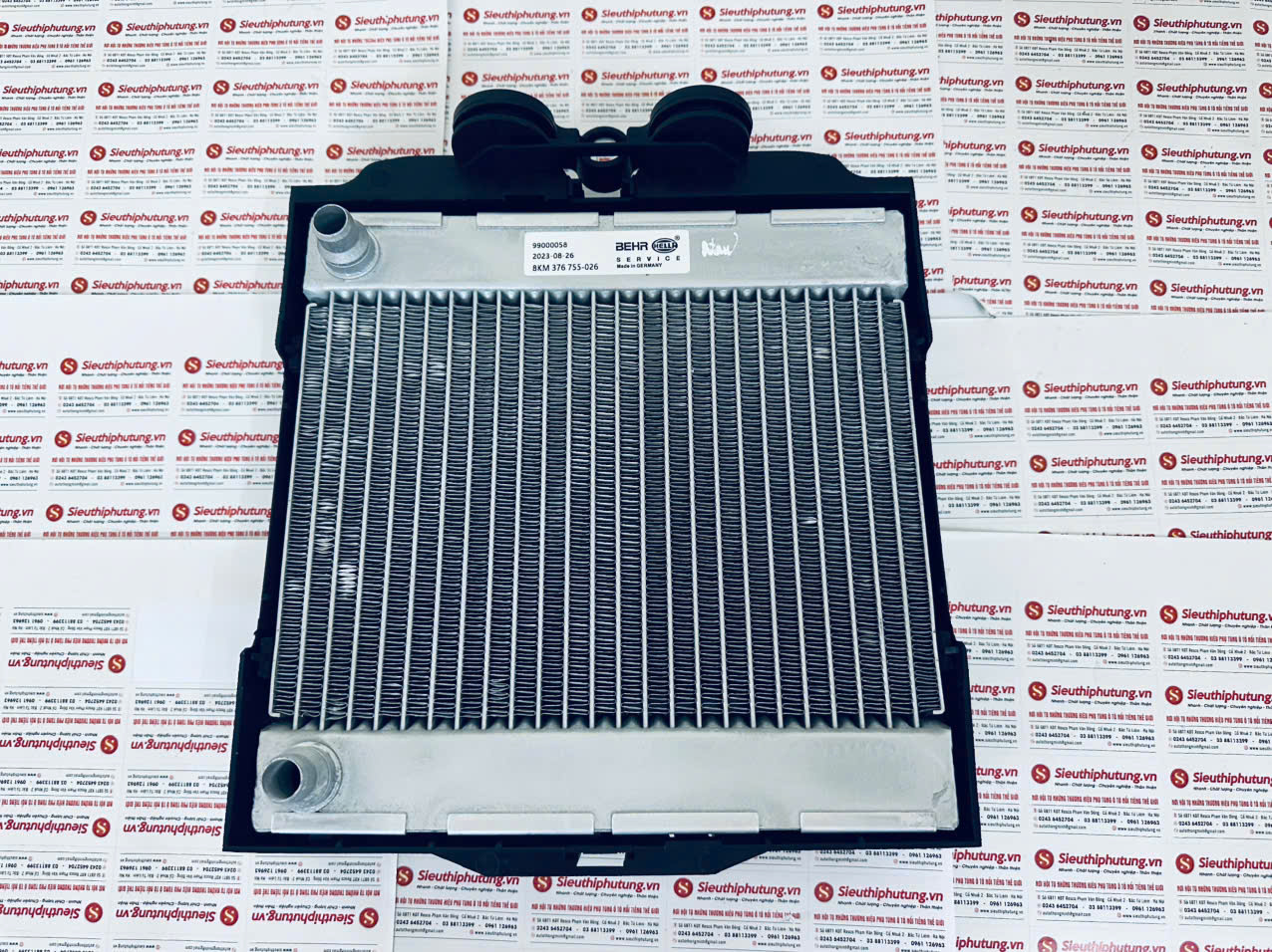 Két nước phụ Vinfast Lux A 2.0, 99000058