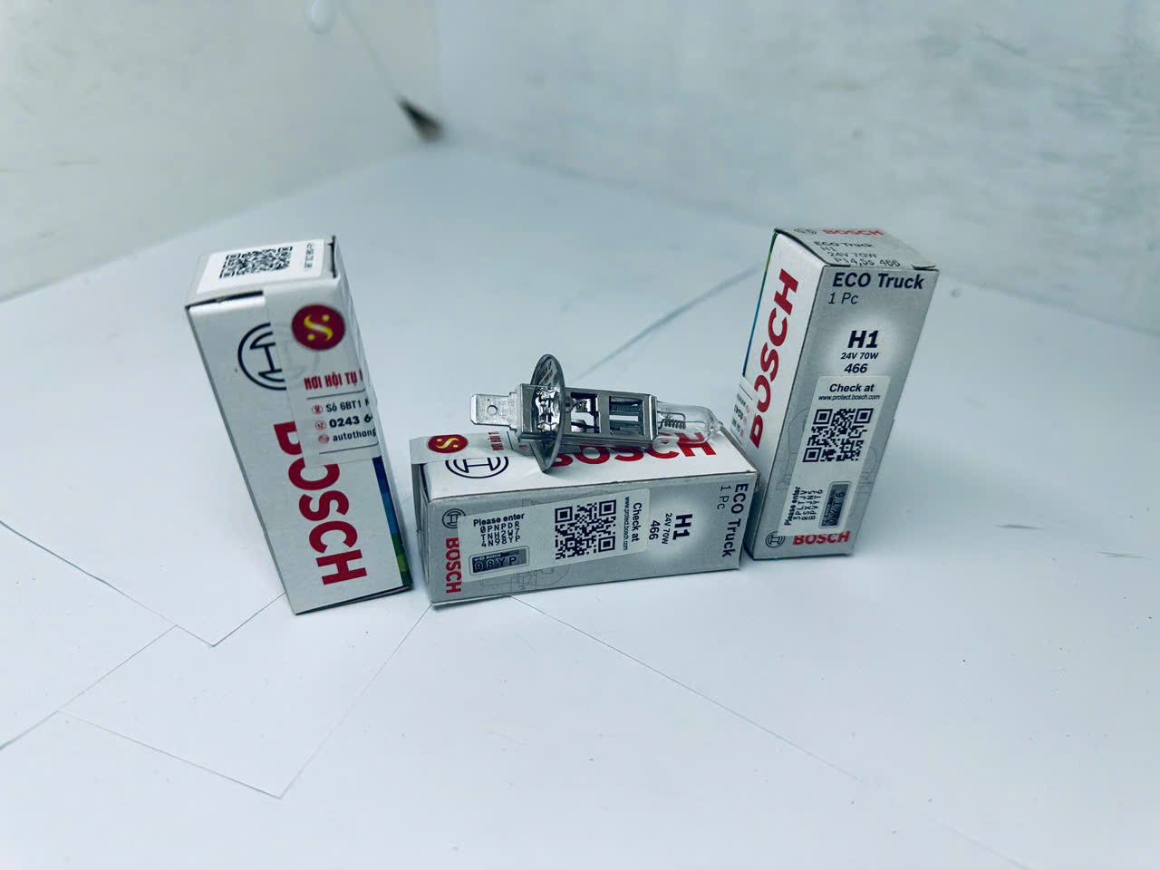 Bóng đèn Bosch H1 24V 70W