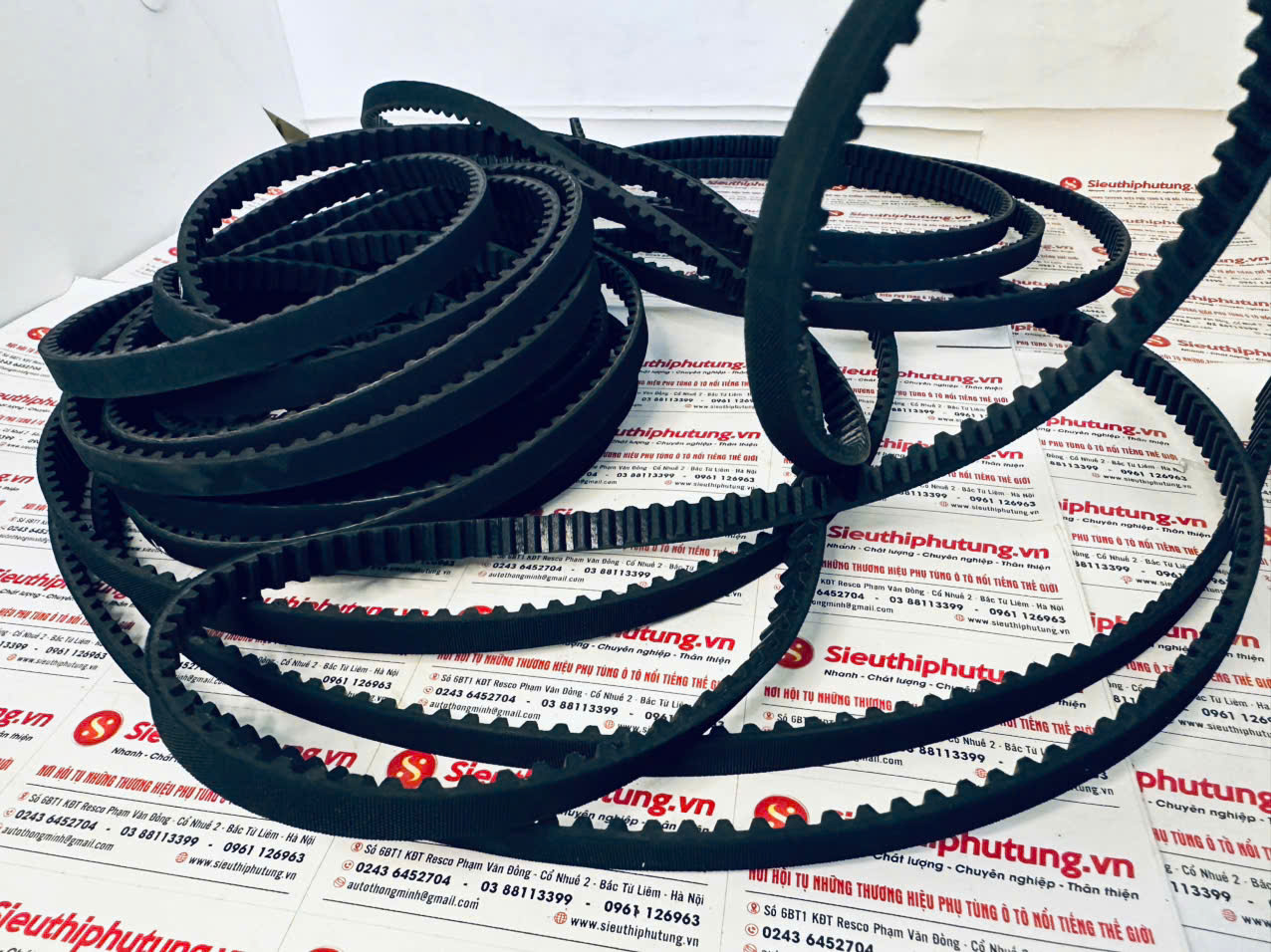 Dây curoa thang máy S5M 8 1000