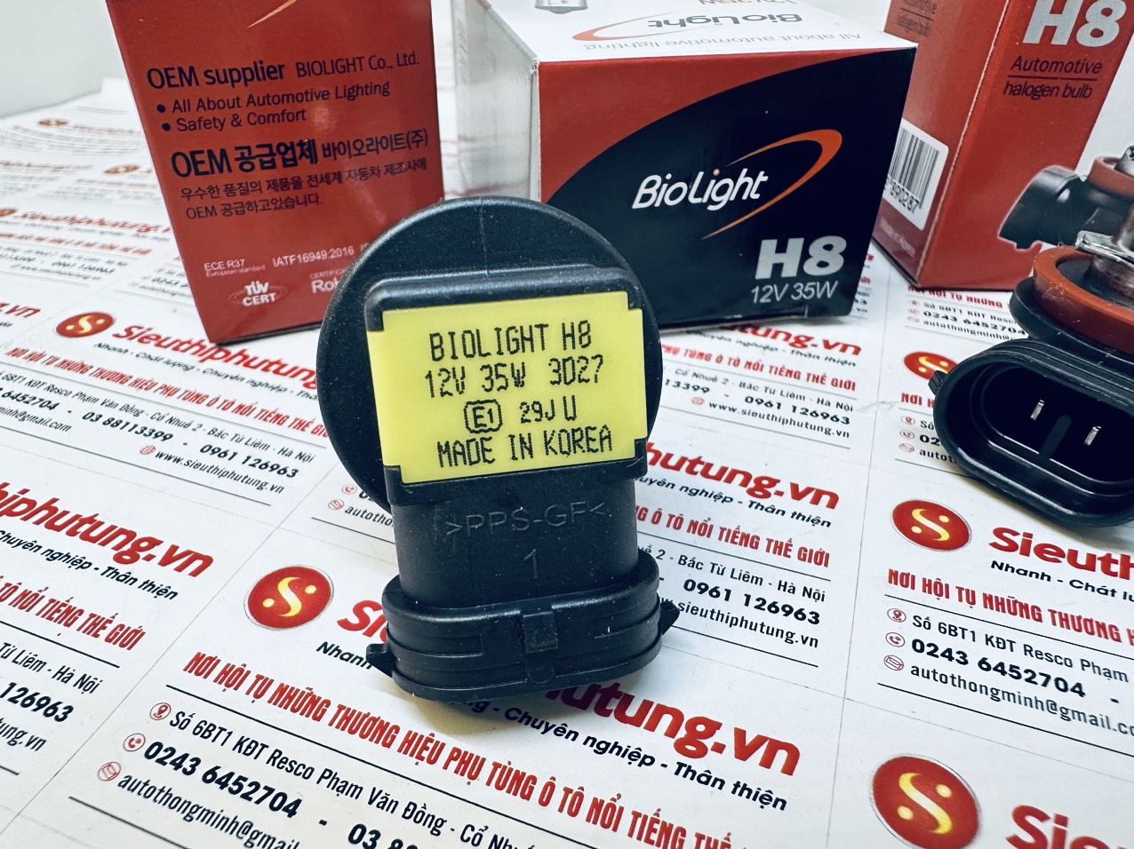 Bóng đèn Biolight H8 12V 35W