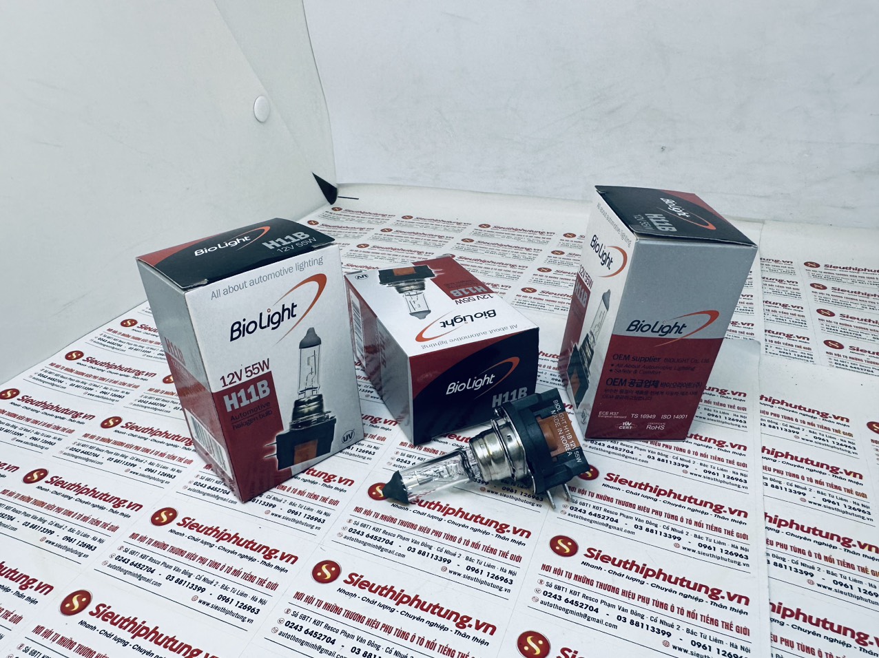 Bóng đèn Biolight H11B 12V 55W