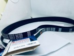 Dây curoa xe Ford Focus 2010, 6PK1305