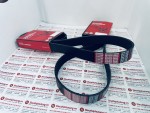 Dây curoa dongil 8PK1320