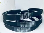 Dây curoa tổng xe Khách 29 chỗ Tracomeco, 1847677C1, 10PK1860